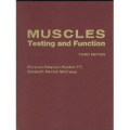 Muscles Testing And Function