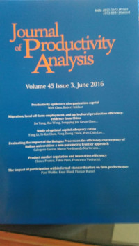 Journal of Productivity Analysis : Volume 45 Issue 3