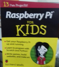 Raspberry Pi For KIDS:Get Your Raspberry Pi Up And Running, Learn To Program With Scartch And Python, Write Games, Build websites and Make Art