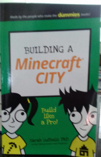 Bulding A Minecraft City