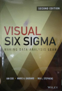 visual six sigma : making data analysis lean