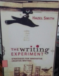 The Writing experiment: Strategies For Innovative Creative Writing