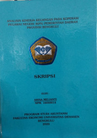Analisis kinerja keuangan pada koperasi Pegawai Negeri (KPN) pemerintah Daerah Provinsi Bengkulu
